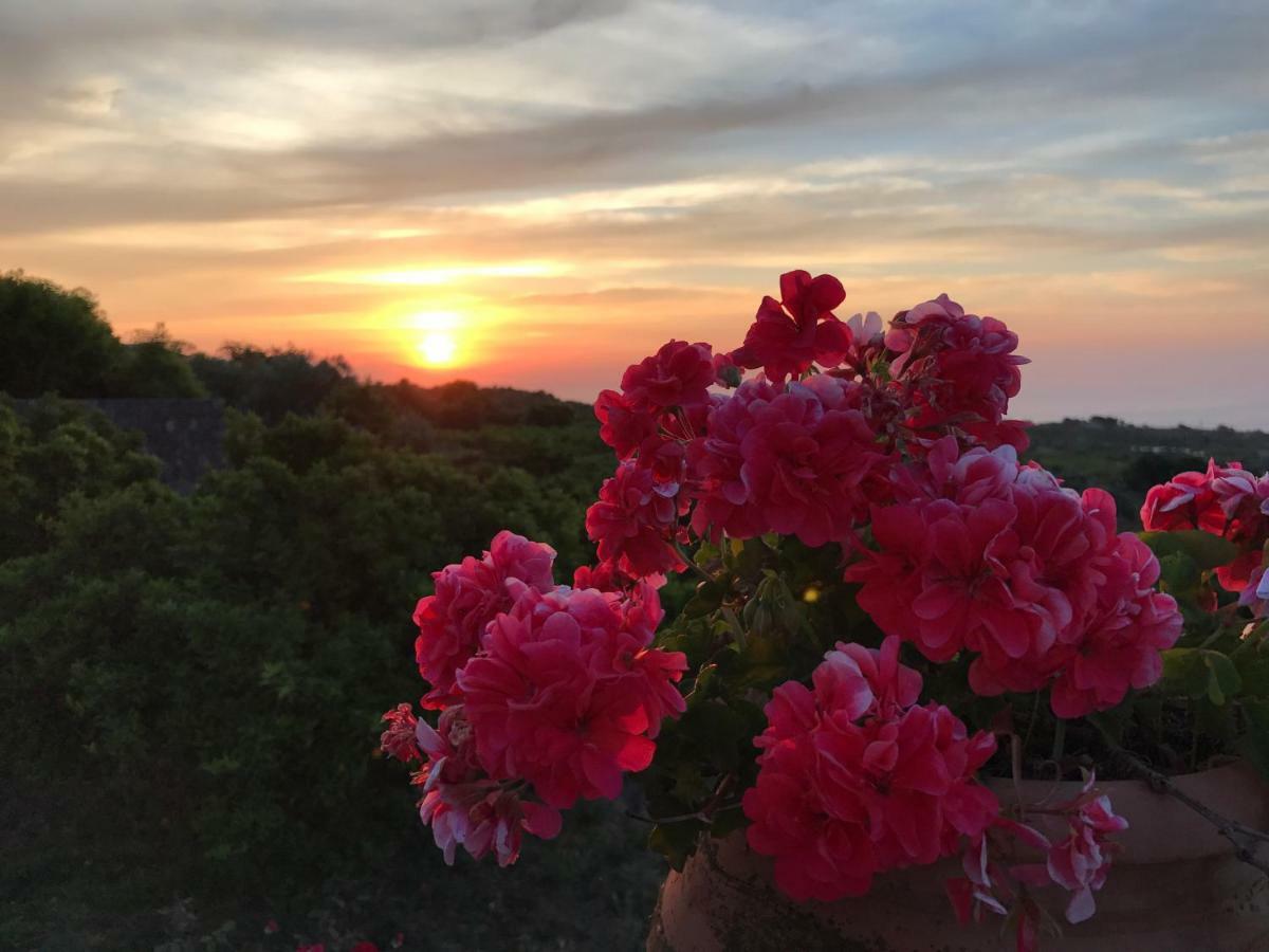 Agrume Country House Santa Venerina Bagian luar foto