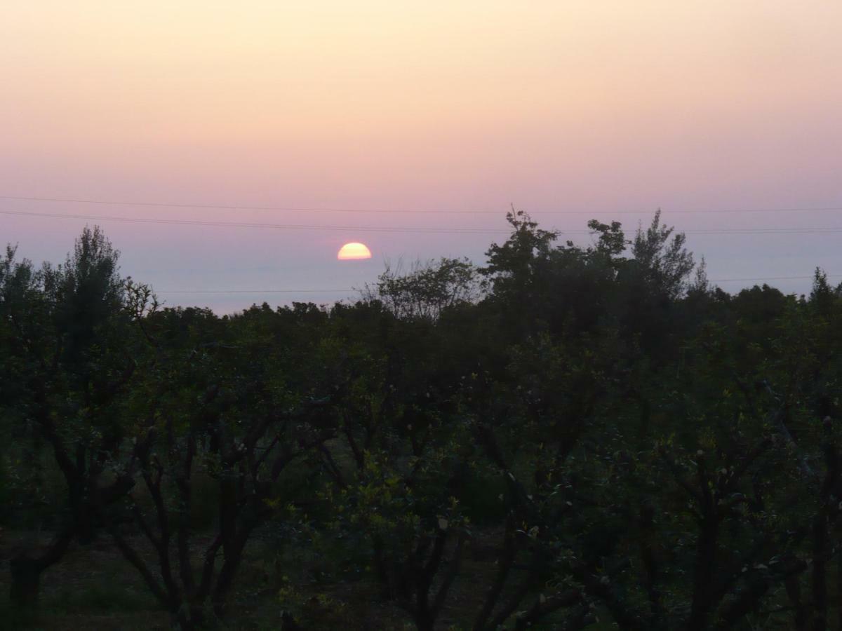 Agrume Country House Santa Venerina Bagian luar foto